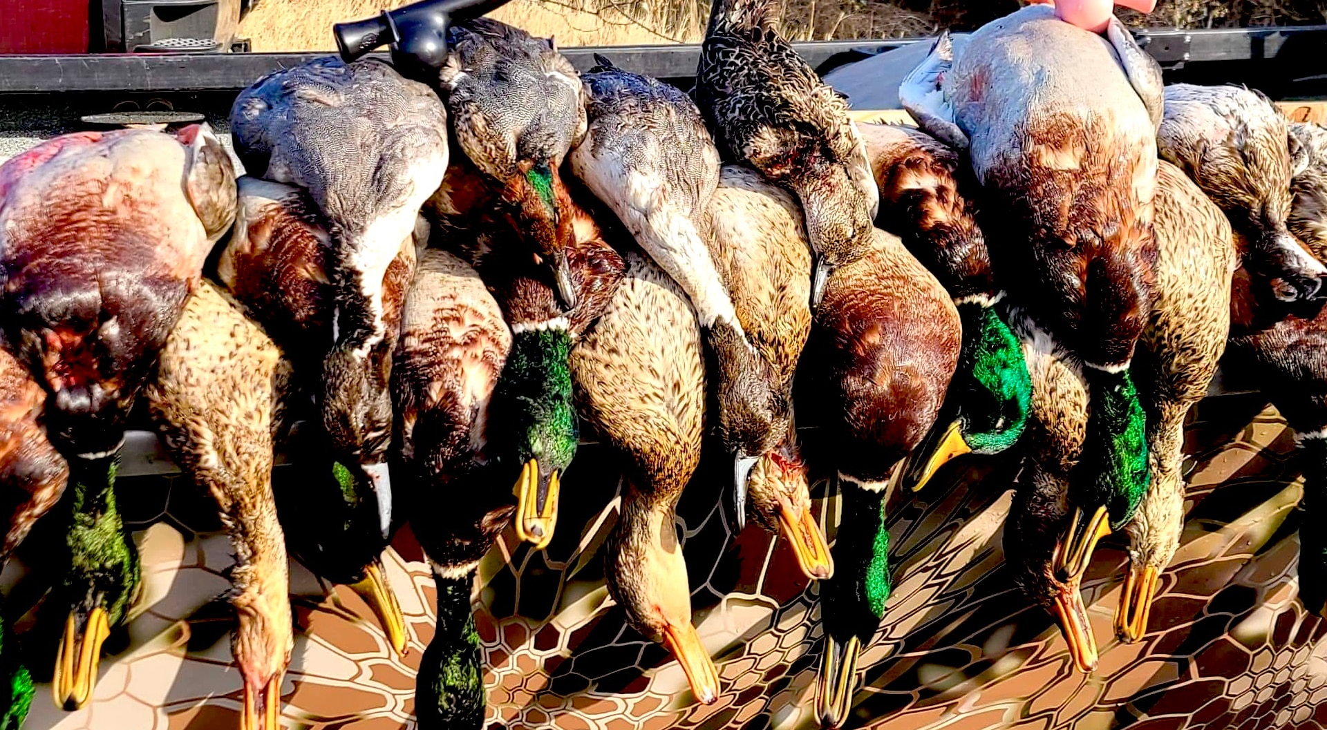 CNB Duck Calls - REVOLUTIONIZING THE WORLD OF WATERFOWL